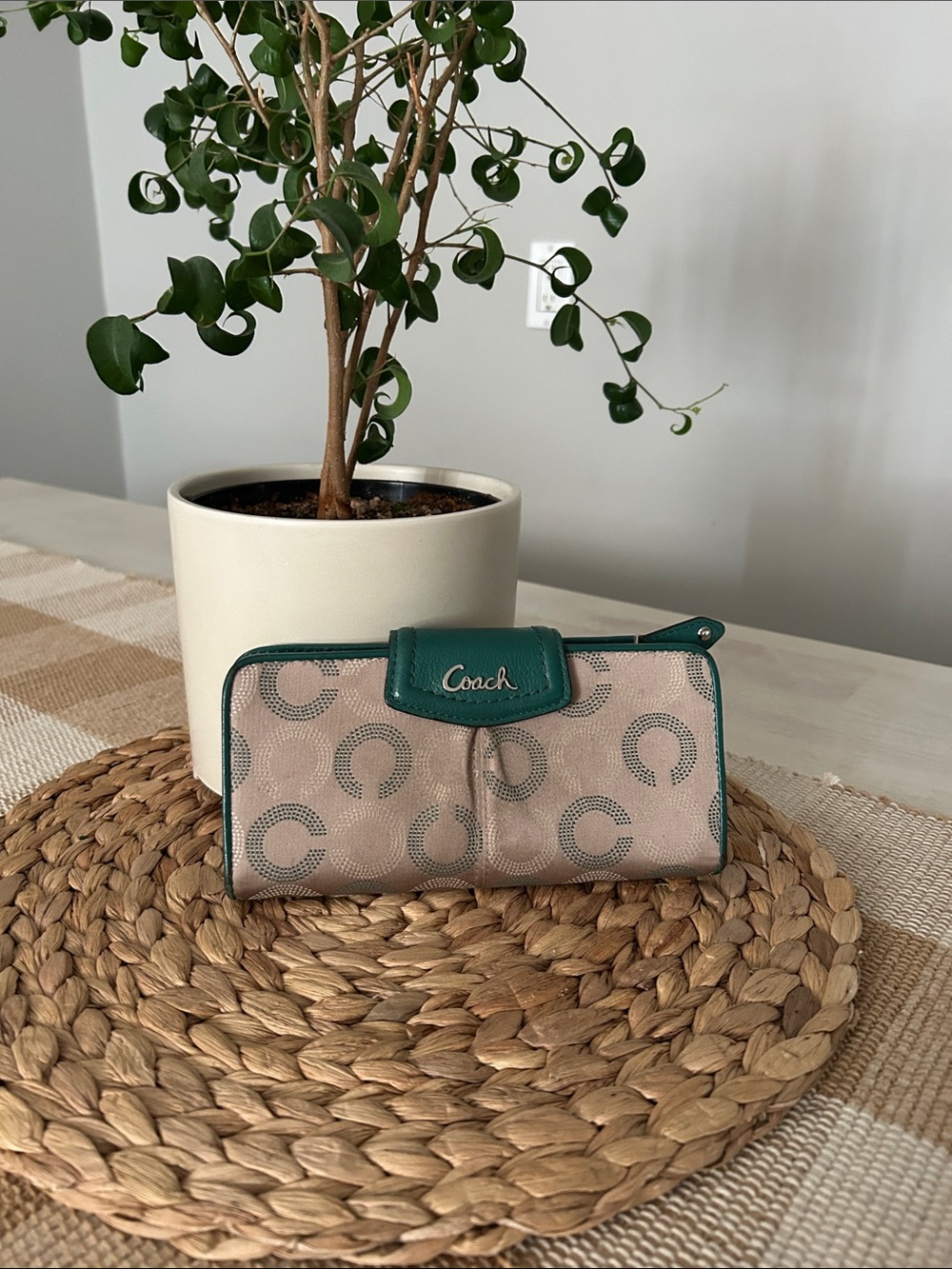 Coach Ashley Dotted Art Slim Envelope Wallet Style #F48050